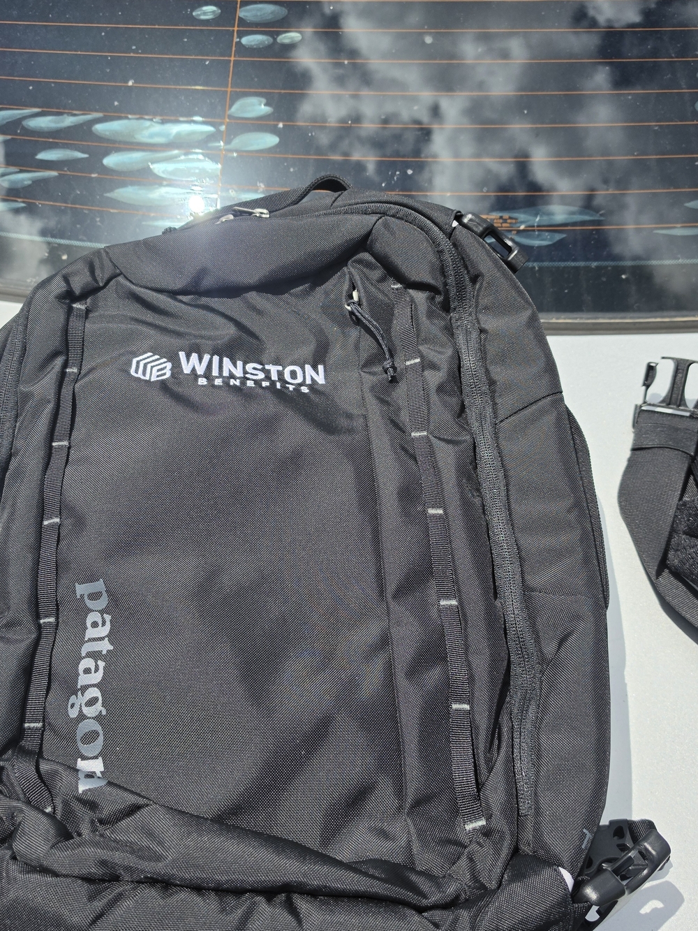 Patagonia Tres 25L